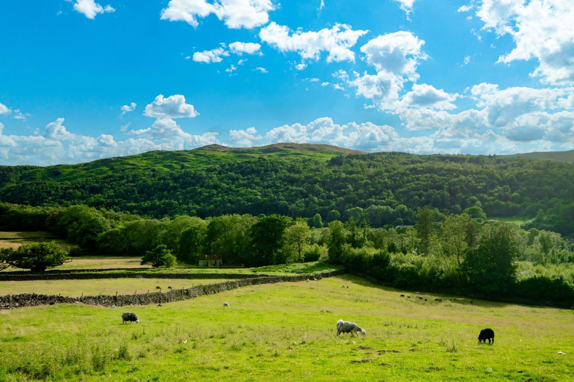 Boot Bridge End Farm Cottages מראה חיצוני תמונה